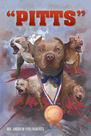 Cover of the book “Pitts” by Dr. Amber M. Valinski