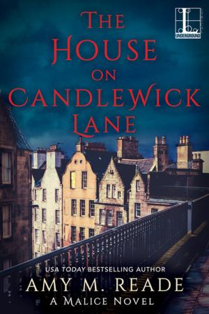 Cover of the book The House on Candlewick Lane by Kat Irwin