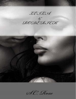 Cover of the book Leila & Roderick by Debra Salonen