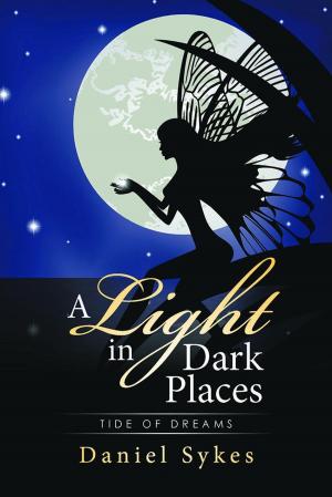 Cover of the book A Light in Dark Places by Erica Carter