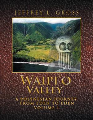 Cover of the book Waipi’O Valley by Sergio Parra, José Luis Crespo