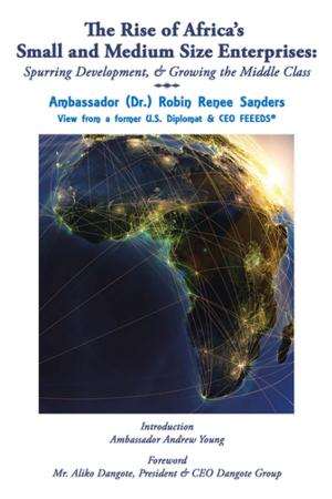 Book cover of The Rise of Africa’S Small & Medium Size Enterprises