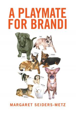 Cover of the book A Playmate for Brandi by Linda Kandelin Chambers