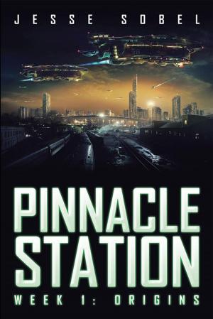 Cover of the book Pinnacle Station by Teronda Lampkin- Hunter