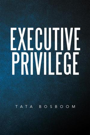 Cover of the book Executive Privilege by Dr. Joseph Murphy