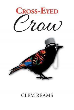 Cover of the book Cross-Eyed Crow by Jeanne Menich