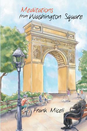 Cover of the book Meditations from Washington Square by Terry Horn