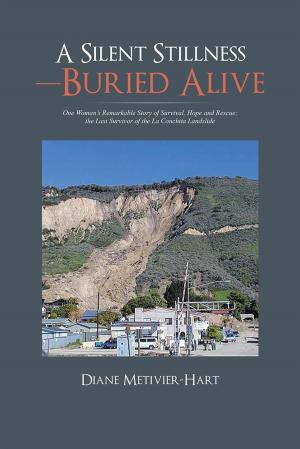 Book cover of A Silent Stillness—Buried Alive