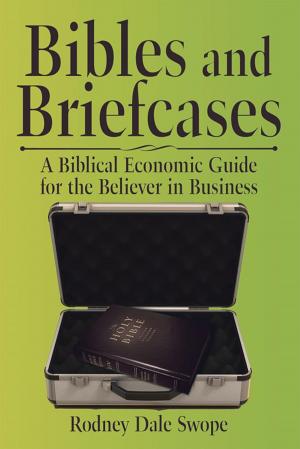 Cover of the book Bibles and Briefcases by Martha Gayle Toler