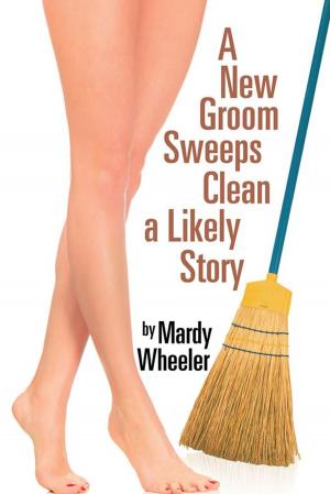 Book cover of A New Groom Sweeps Clean a Likely Story
