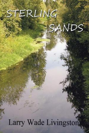Cover of the book Sterling Sands by James T. West