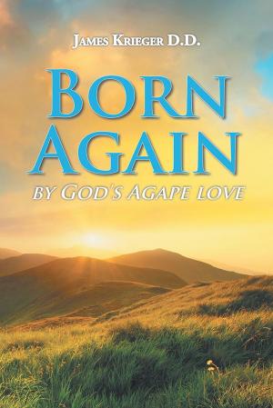 Cover of the book Born Again by James Olah