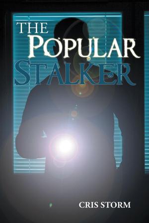 bigCover of the book The Popular Stalker by 