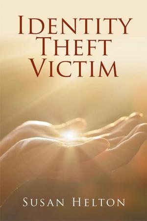 Cover of the book Identity Theft Victim by Kaitlin Hodnett