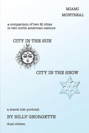 Cover of the book City in the Sun, City in the Snow by PAUL HEIDELBERG