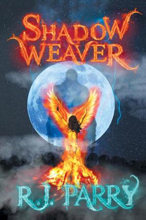 Cover of the book Shadow Weaver by L. C. Small