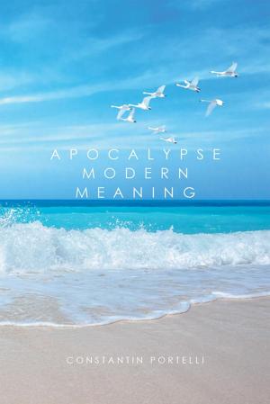 Cover of the book Apocalypse Modern Meaning by Patti Trickett