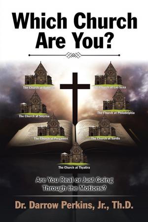 bigCover of the book Which Church Are You? by 