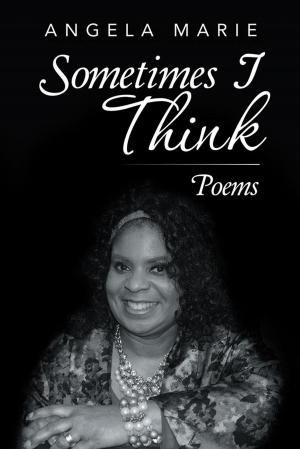 Cover of the book Sometimes I Think by Steve Volk