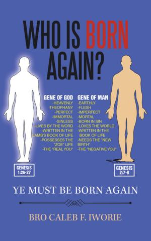 Cover of the book Who Is Born Again? by Amy Beukema