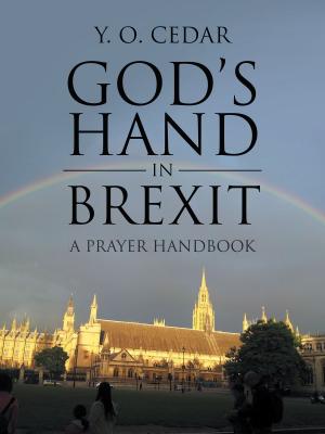 Cover of the book God’S Hand in Brexit by Richard Gabriel