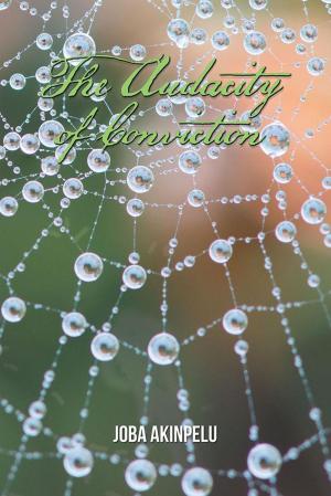 Cover of the book The Audacity of Conviction by William Flewelling