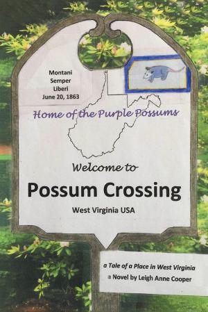 bigCover of the book Possum Crossing by 