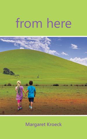 Cover of the book From Here by Donald E. Smith