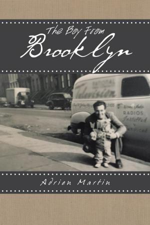 Cover of the book The Boy from Brooklyn by Jackie Ann Dee