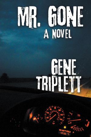 Cover of the book Mr. Gone by Marcus Foxwell