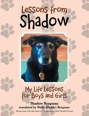 Cover of the book Lessons from Shadow by Kathie Rodkey
