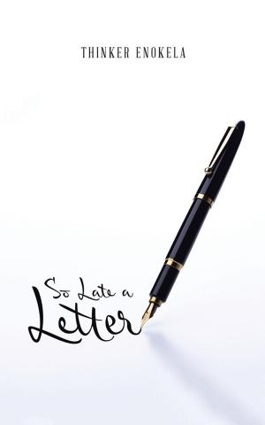 bigCover of the book So Late a Letter by 