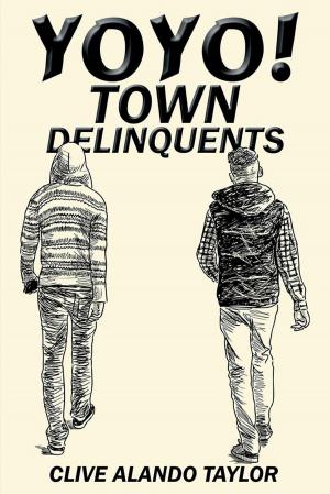 Cover of the book Yoyo! Town Delinquents by Donald R. Lunsford Sr.