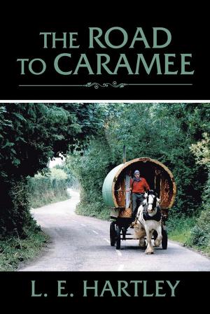 Cover of the book The Road to Caramee by Shawna Kidd