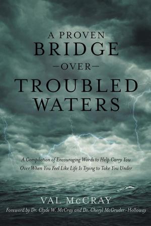 Cover of the book A Proven Bridge over Troubled Waters by Craig Stephen Copland