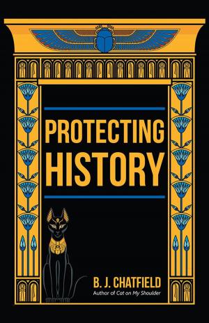 Cover of the book Protecting History by Andy Ulicny