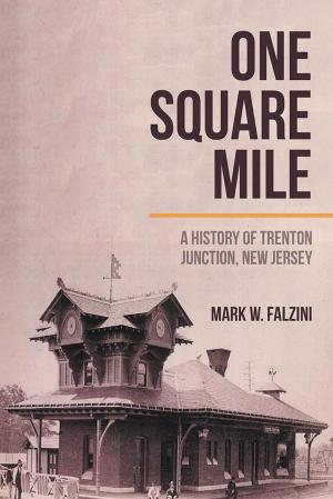 Cover of the book One Square Mile by Andrew David Doyle FdA
