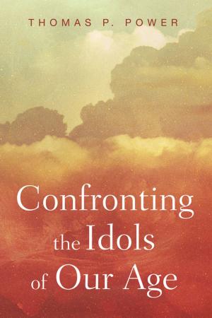 Cover of the book Confronting the Idols of Our Age by James F. McGrath