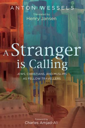 Cover of the book A Stranger is Calling by James Boyd White
