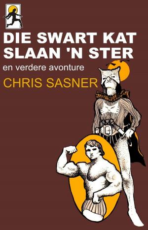 Cover of the book Die Swart Kat slaan 'n ster by Arvin Loudermilk