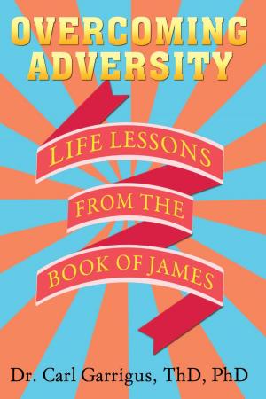 Cover of the book Overcoming Adversity by Brian Walden, Gina Walden