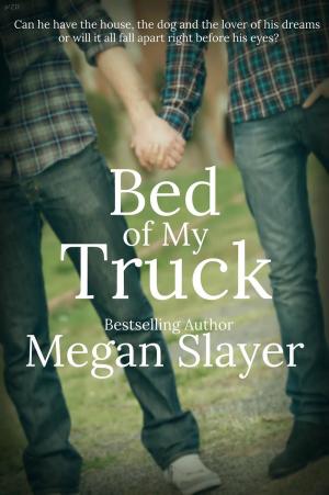 Cover of the book Bed of My Truck by Shaina Richmond