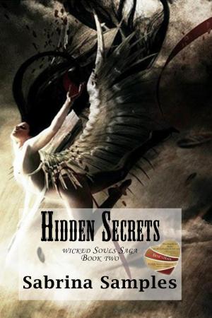 Cover of the book Hidden Secrets by Michael P. Rogers