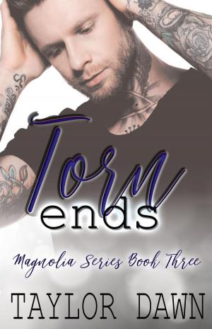Cover of the book Torn Ends by JB Salsbury