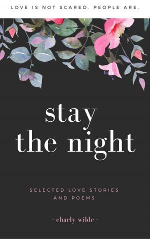 Cover of the book Stay The Night by Angel Payne