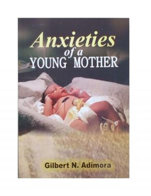 Cover of the book Anxieties of a young mother by Gabriel Agbo