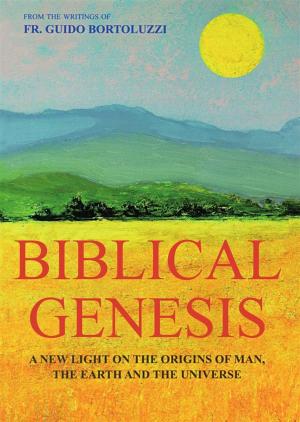 Cover of the book Biblical Genesis - A new light on the origins of man and the original sin by David M. Arns