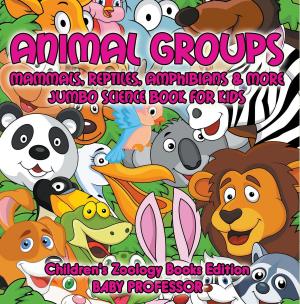 Book cover of Animal Groups (Mammals, Reptiles, Amphibians & More): Jumbo Science Book for Kids | Children's Zoology Books Edition