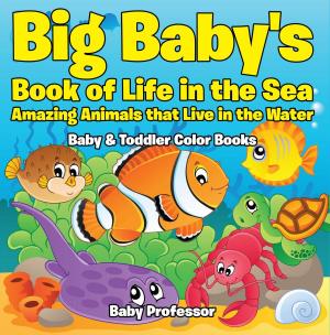 bigCover of the book Big Baby's Book of Life in the Sea: Amazing Animals that Live in the Water - Baby & Toddler Color Books by 