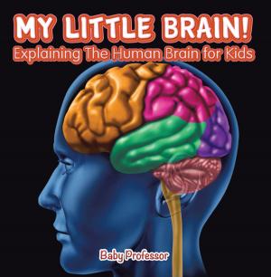 Cover of the book My Little Brain! - Explaining The Human Brain for Kids by Samantha Michaels